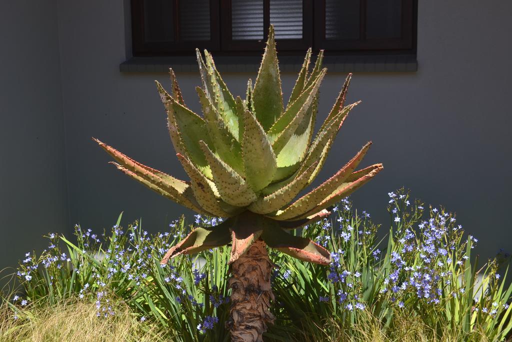 Be At Home Guesthouse Klerksdorp Eksteriør bilde